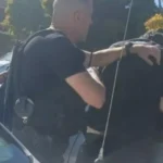 Investigación judicial por presunto robo: detuvieron al abogado Pablo Pugh tras recuperar una cartera