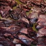 Dos policías investigados por venta ilegal de carne de guanaco