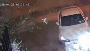 415688_crop_111616_lg